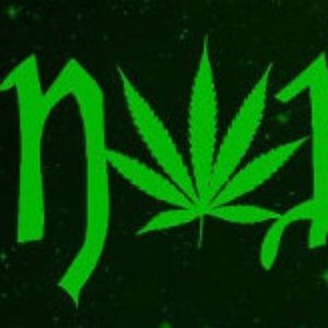 Avatar for Cannabat