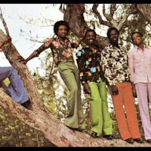 Ronnie Butler & His Ramblers 的头像