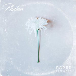 Paper Flowers