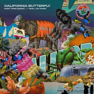 California Butterfly - Single