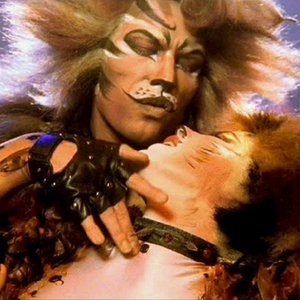 Avatar for The Rum Tum Tugger