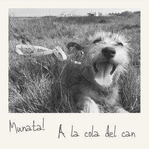 A la Cola del Can