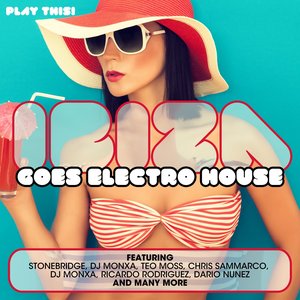 Ibiza Goes Electro House, Vol. 2