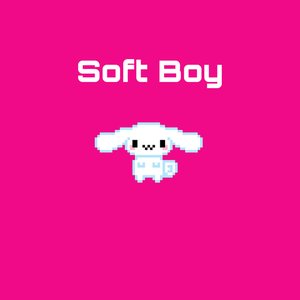 Soft Boy - Single