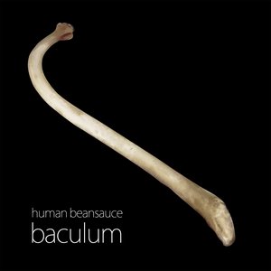 Imagem de 'baculum'