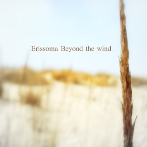 Beyond The Wind