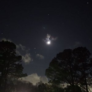 MOONLIGHT