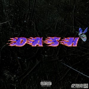 Dash