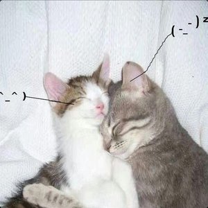 i love you so !