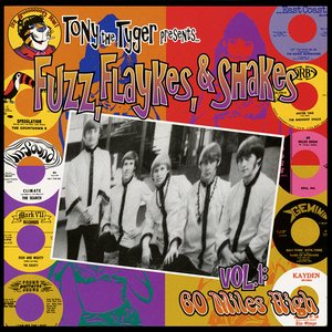 Fuzz, Flaykes & Shakes, vol. 1