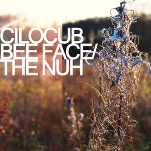 Bee Face/The Nuh