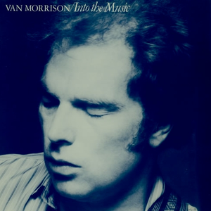 Into the Music cover