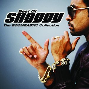 Bild för 'The Boombastic Collection - Best of Shaggy'