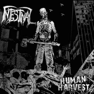Human Harvest