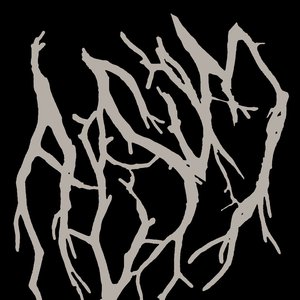 Ausum 的头像