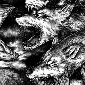 Sea of Dogs 的头像