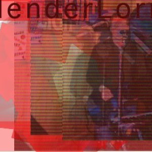 Slender Loris 的头像