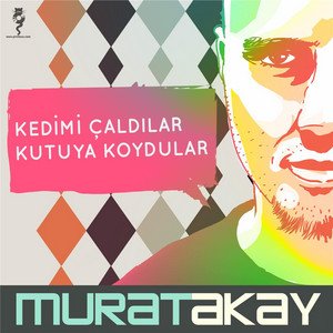 Kedimi Çaldılar Kutuya Koydular