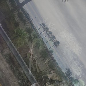 Cursed - Single
