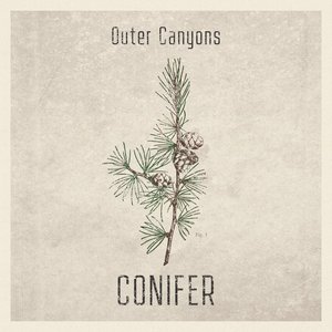 Conifer - Single