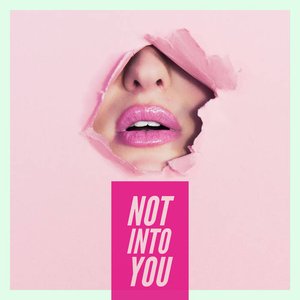 Image for 'Not Into You'