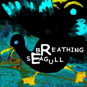 Breathing Seagulls 的头像