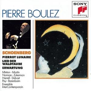 Immagine per 'Schönberg : Pierrot lunaire & Erwartung'