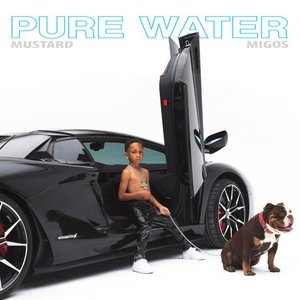 Pure Water - Single