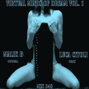 Virtual Minds of Dream, Vol. 1