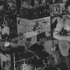 Jesse and the Dandelions 的头像