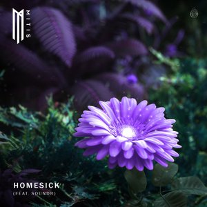 Homesick (feat. Soundr) - Single