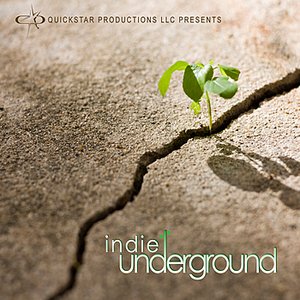 Quickstar Productions Presents: Indie Underground, Vol. 13