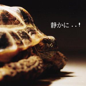 Shh..! 的头像