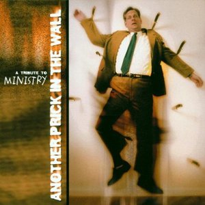 Image for 'Another Prick In The Wall - A Tribute To Ministry - Volume 2'