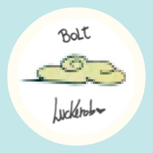 Bolt