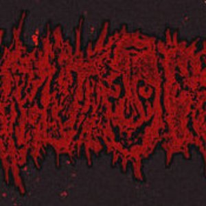 Avatar for MOREGORELORETORE