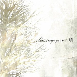 Missing you/暁