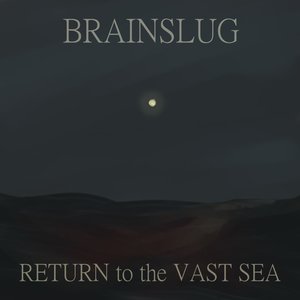 RETURN to the VAST SEA