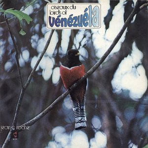 Birds Of Venezuela