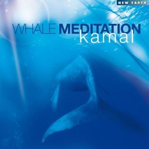 Bild för 'Whale Meditation'