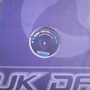Higher Ground / Feelin' Fine (Remix)