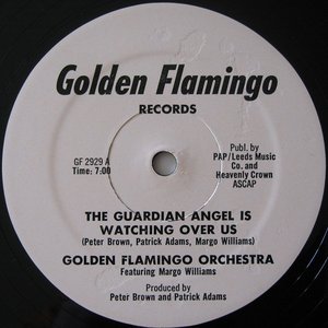 Avatar for Golden Flamingo Orchestra