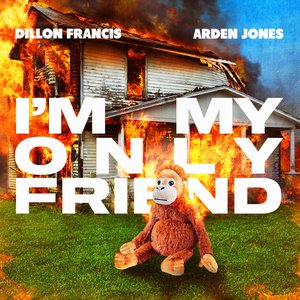 I'm My Only Friend - Single