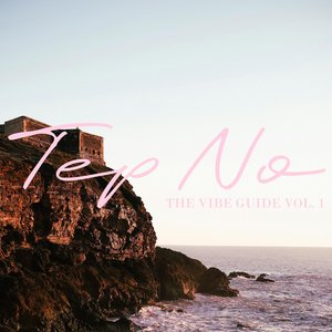 The Vibe Guide, Vol. 1