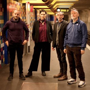Stereolab 的头像