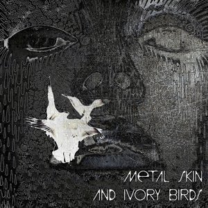 “Metal Skin and Ivory Birds [Last.fm Sampler]”的封面