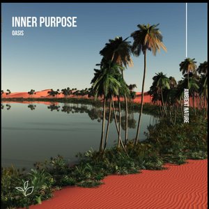 Oasis