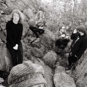 Fungus Hill 的头像