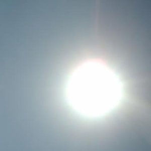 Split w/ Sun Worn