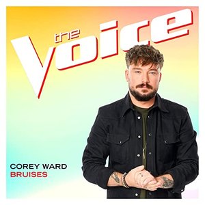Bruises (The Voice Performance) - Single